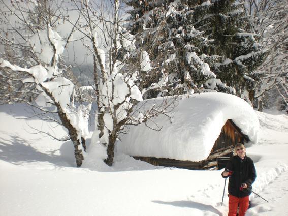 Appartment Laerchenalm Sankt Martin am Tennengebirge Bagian luar foto