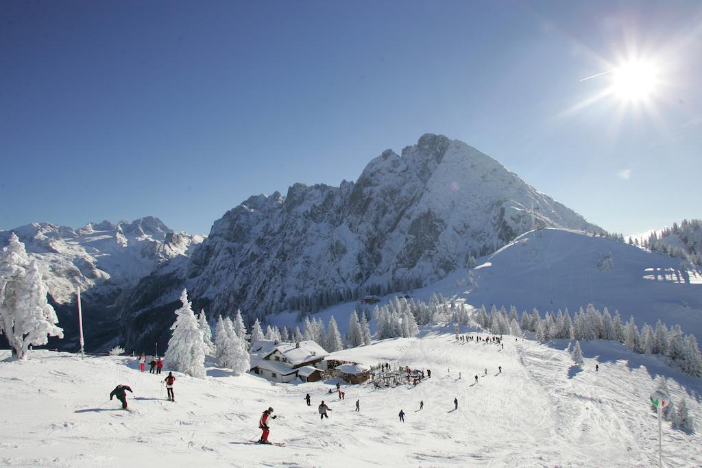 Appartment Laerchenalm Sankt Martin am Tennengebirge Bagian luar foto